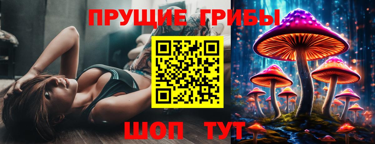 Псилоцибиновые грибы прущие грибы  закладка  Электросталь  Вход с VPN 